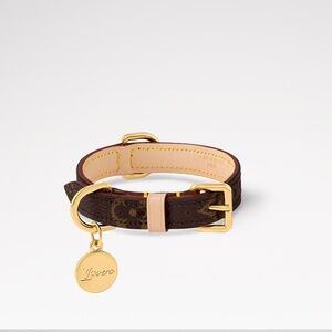 XS Louis Vuitton Dog Collar MURAKAMI